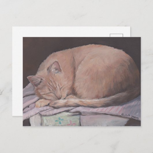 Slaapend Briefkaart met Kitty Cat Art (Voorkant / Achterkant)