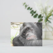 Slaapend Briefkaart van de Chimpansee (Staand voorkant)