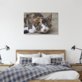 Slaapend Calico Kitten Canvas Afdruk (Insitu (Slaapkamer))