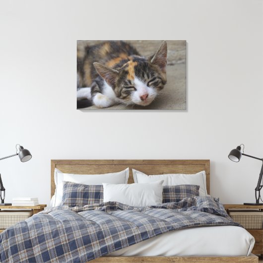 Slaapend Calico Kitten Canvas Afdruk (Insitu (Slaapkamer))
