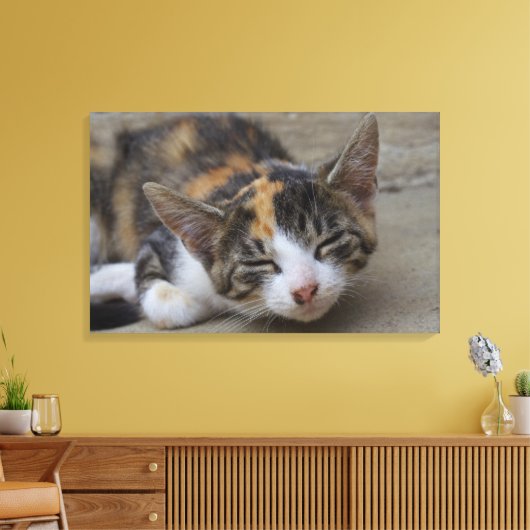Slaapend Calico Kitten Canvas Afdruk (Insitu (Woonkamer))