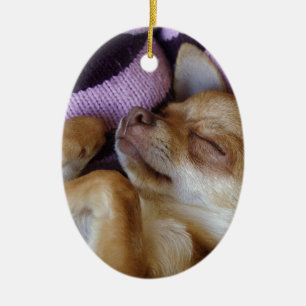 Slaapend Chihuahua Keramisch Ornament