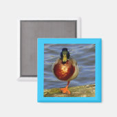 Slaapend Duck Magnet (Voorkant / Achterkant)