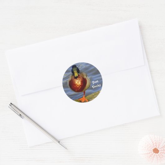 Slaapend Duck Ronde Sticker (Envelop)