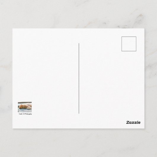 Slaapend gember briefkaart (Achterkant)