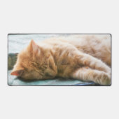 Slaapend gember bureaumat (Voorkant)