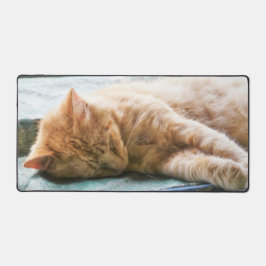 Slaapend gember bureaumat