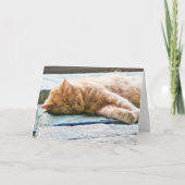 Slaapend gember kaart (Voorkant)