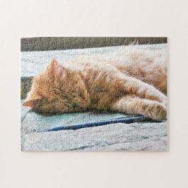 Slaapend gember legpuzzel