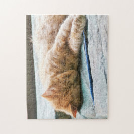 Slaapend gember legpuzzel