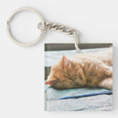 Slaapend gember sleutelhanger (Voorkant)