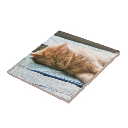 Slaapend gember tegeltje (Zijkant)