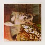 Slaapend Kat comprimeren Legpuzzel (Horizontaal)