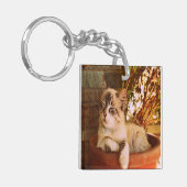 Slaapend Kat comprimeren Sleutelhanger (Voorkant Links)