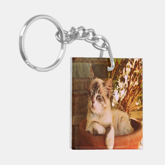 Slaapend Kat comprimeren Sleutelhanger (Voorkant Links)