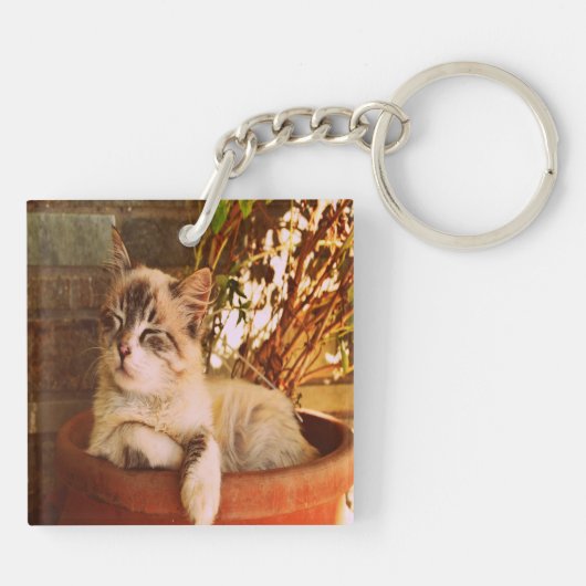 Slaapend Kat comprimeren Sleutelhanger (Achterkant)