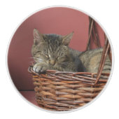 Slaapend Kat keramische knop (Voorkant)