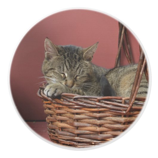 Slaapend Kat keramische knop (Voorkant)