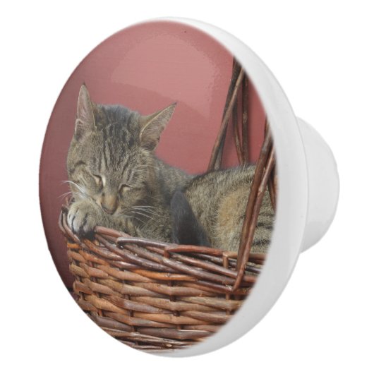 Slaapend Kat keramische knop (Rechts)