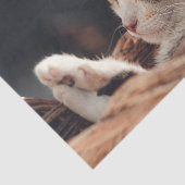 Slaapend Kat Kinderen Tissuepapier (Detail)