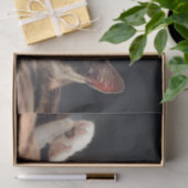Slaapend Kat Kinderen Tissuepapier (Geschenk)
