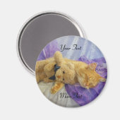 Slaapend Kat Magnet (Voorkant / Achterkant)