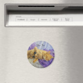 Slaapend Kat Magnet (Insitu (Vaatwasser))