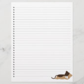 Slaapend Kat met blikvanger (Voorkant)