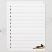 Slaapend Kat met blikvanger (Voorkant / Achterkant)