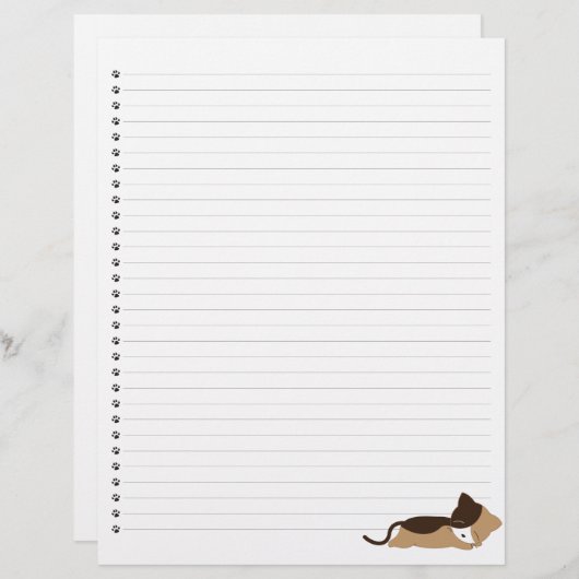 Slaapend Kat met blikvanger (Voorkant / Achterkant)