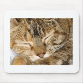 Slaapend Kat Mousepad Muismat (Voorkant)