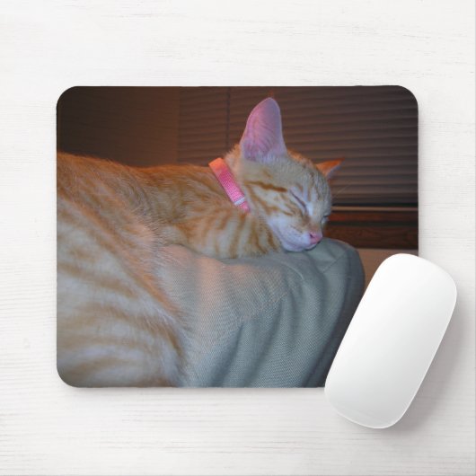 Slaapend Kat Muismat (Met muis)