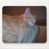 Slaapend Kat Muismat (Voorkant)