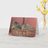 Slaapend Kat Note Kaart (Gele Bloem)