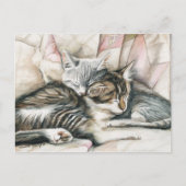 Slaapend Kittens Cat Art Briefkaart (Voorkant)