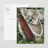 Slaapend Koala Briefkaart (Voorkant / Achterkant)