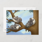 Slaapend Koala Briefkaart (Voorkant / Achterkant)