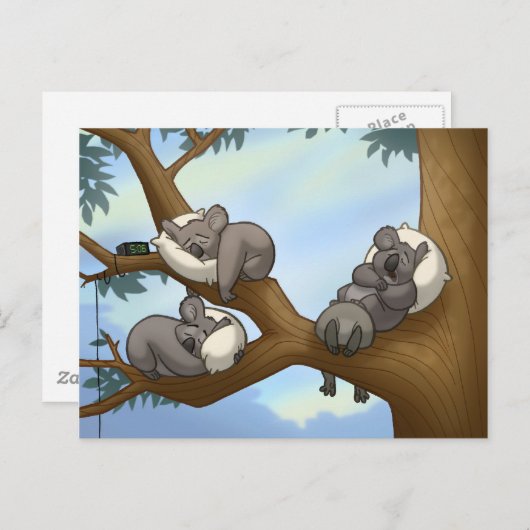 Slaapend Koala Briefkaart (Voorkant / Achterkant)