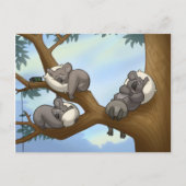 Slaapend Koala Briefkaart (Voorkant)