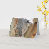 Slaapend Koala Wenskaart Kaart (Gele Bloem)