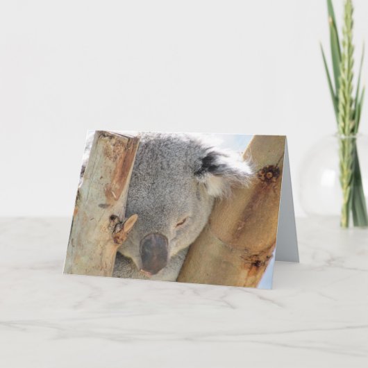 Slaapend Koala Wenskaart Kaart (Voorkant)