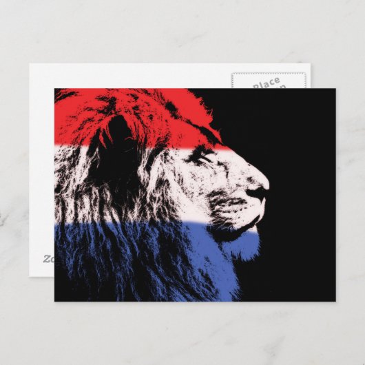 Slaapend leeuwenprofiel briefkaart (Voorkant / Achterkant)