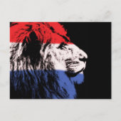 Slaapend leeuwenprofiel briefkaart (Voorkant)