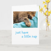 Slaapend lui kat komt goed kaart (Gele Bloem)