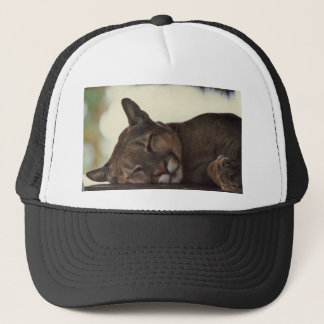 Slaapend Pet
