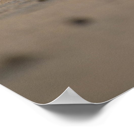 Slaapend Poster (Hoek)