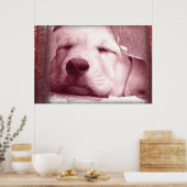 Slaapend Poster (Keuken)