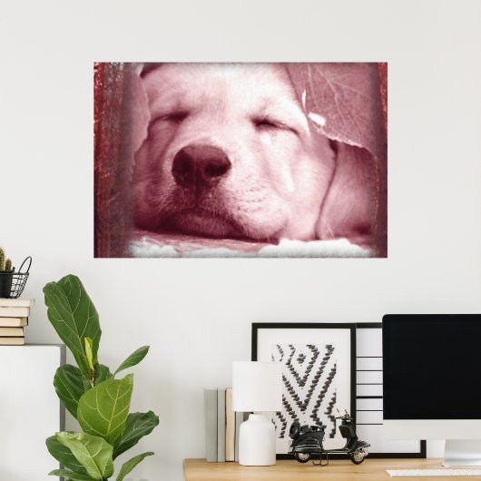 Slaapend Poster (Thuiskantoor)