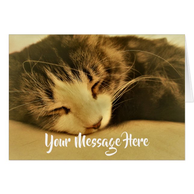 Slaapend Sepia Cat Napping (Voorkant Horizontaal)