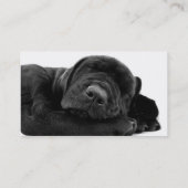 Slaapend Visitekaartje van de Lab Puppy Dog (Achterkant)